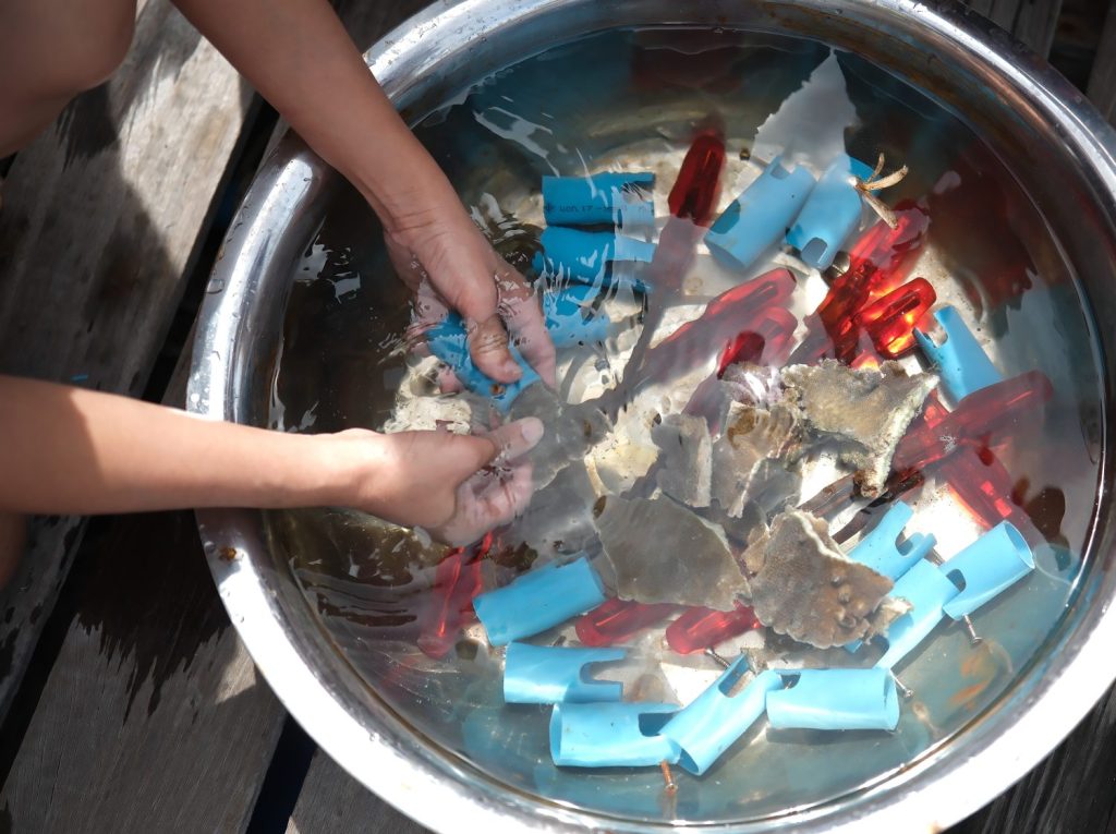 Exchange Students 034